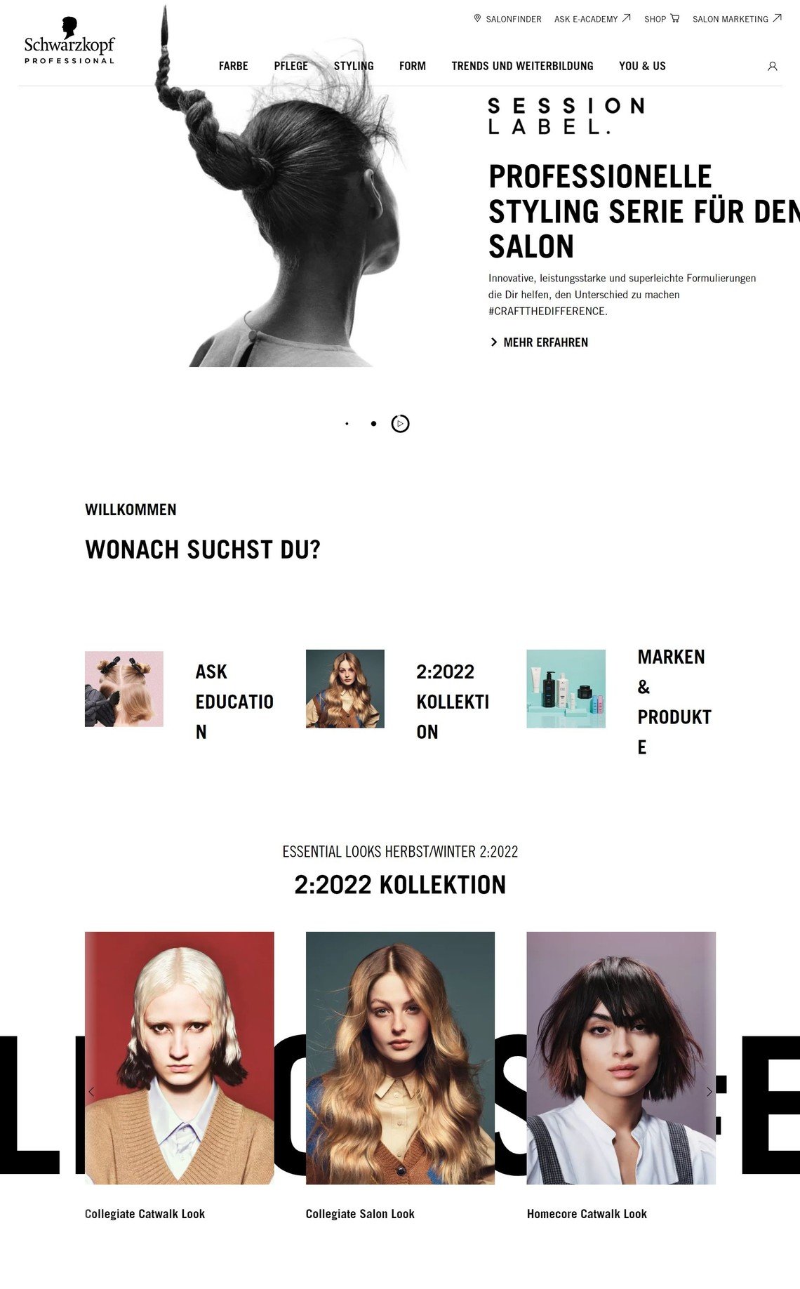 Screenshot der Schwarzkopf Professional Website