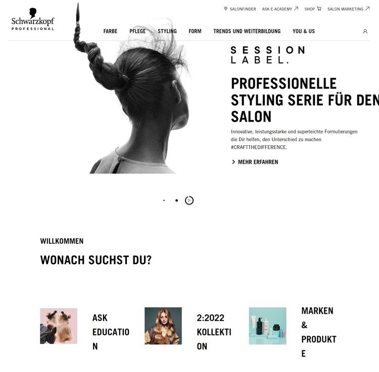 Screenshot der Schwarzkopf Professional Website