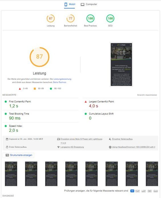Screenshot: Labordaten in den Google PageSpeed Insights