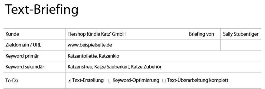 Beispielhafter Auszug aus einen Text-Briefing