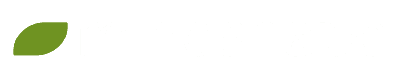 mindshape Internetagentur Logo