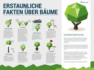 Infografik zu Bäumen