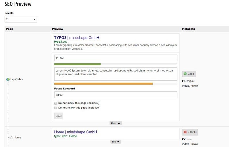 mindshape TYPO3-Extension: SEO-Preview