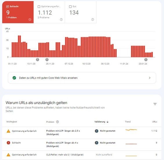 Screenshot: Core Web Vitals Bericht in der Google Search Console mit Fehlermeldung