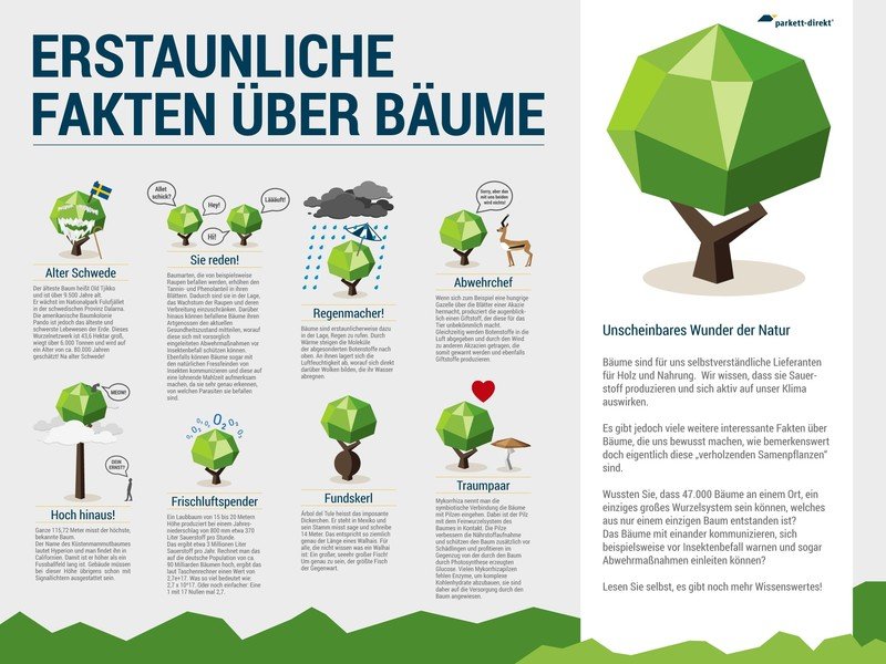 Infografik zu Bäumen