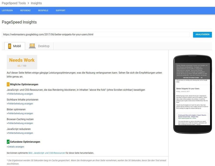 Screenshot von einem Page Speed Test von Googles Webmaster-Blog 
