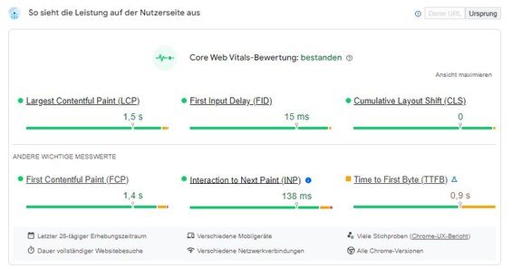 Screenshot: Felddaten in den Google PageSpeed Insights