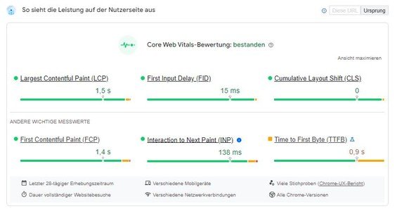 Screenshot: Felddaten in den Google PageSpeed Insights