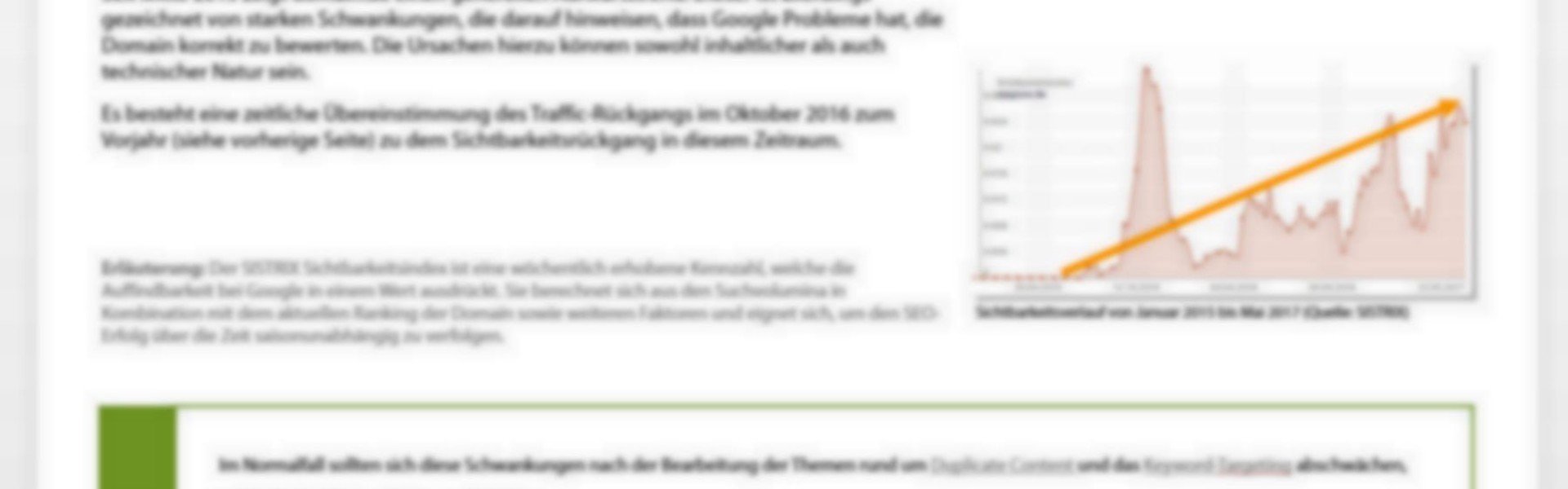 SEO Audit durch SEO Agentur