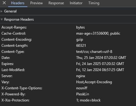 Screenshot: Response-Header einer Datei mit Caching Angaben