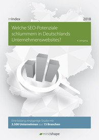 mIndex Studie 2018