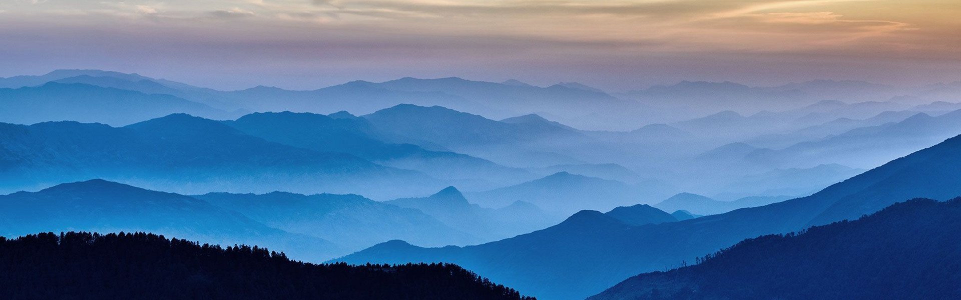 mindshape: Internetagentur in Köln