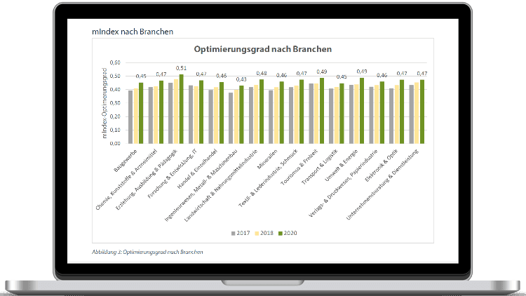 mIndex Optimierungsgrad nach Branchen