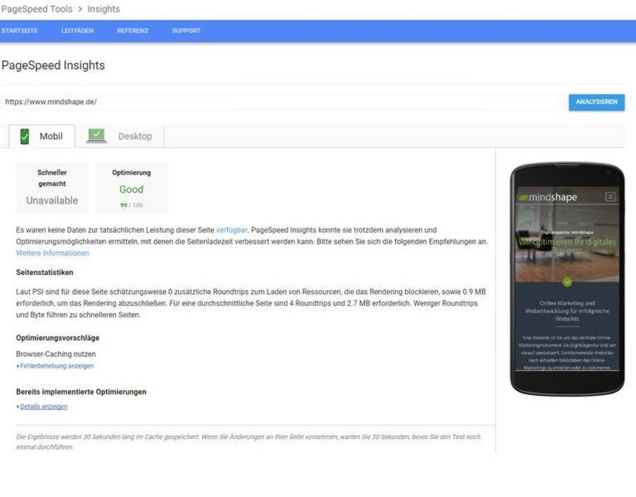Screenshot vom Page-Speed Tool von Google