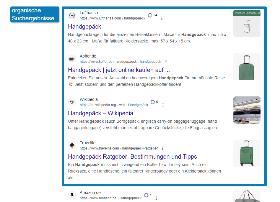 Google SERP organische Suchergebnisse für den Begriff Handgepäck
