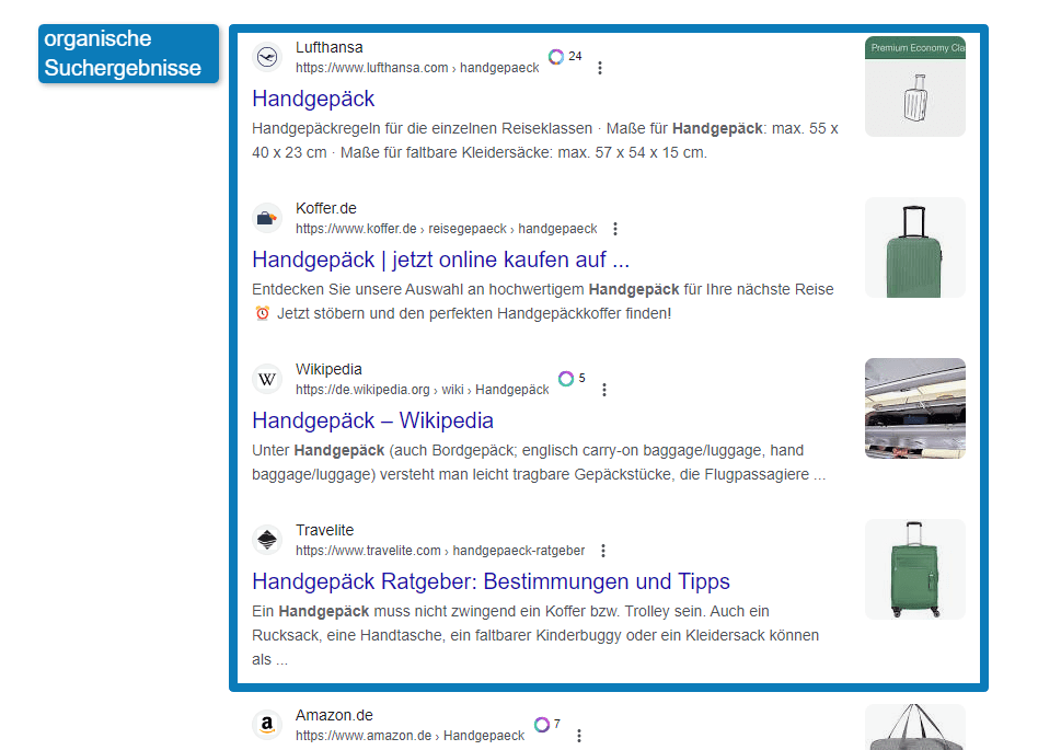 Google SERP organische Suchergebnisse für den Begriff Handgepäck
