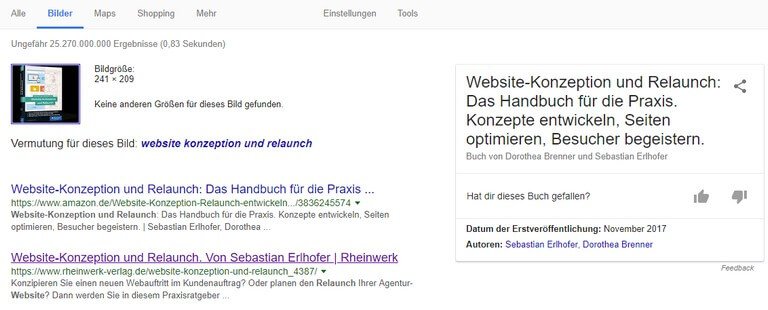 Screenshot von einer Google-Bildersuche, die zeigt, dass Google Bilder deuten kann