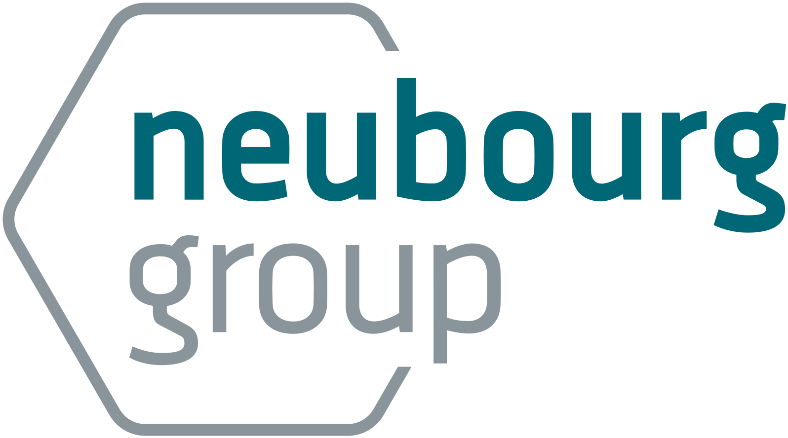 neubourg group Logo